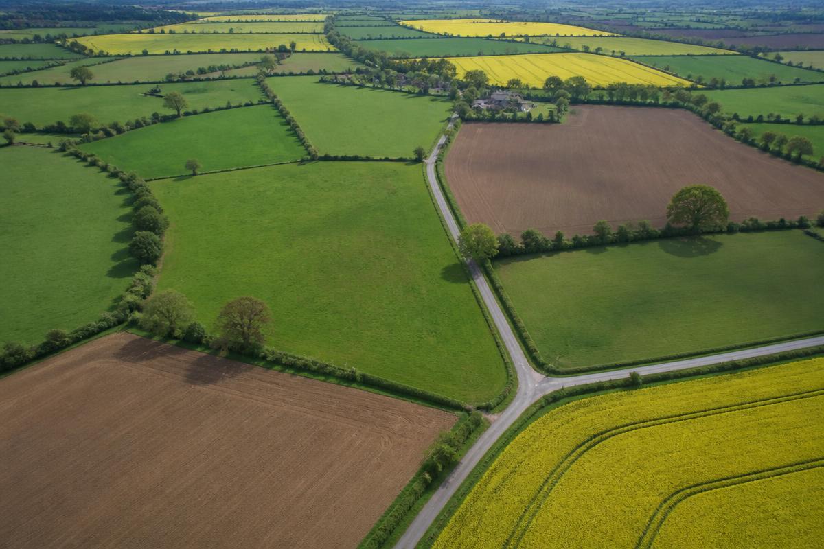 Agricultural Mapping